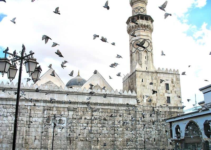 damascus mosque pigeons