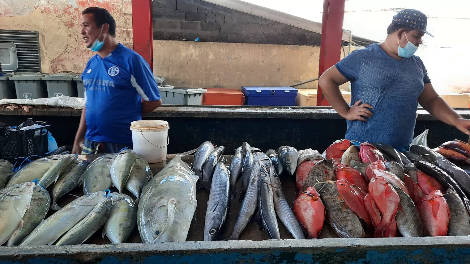 market victoria seychelles fish