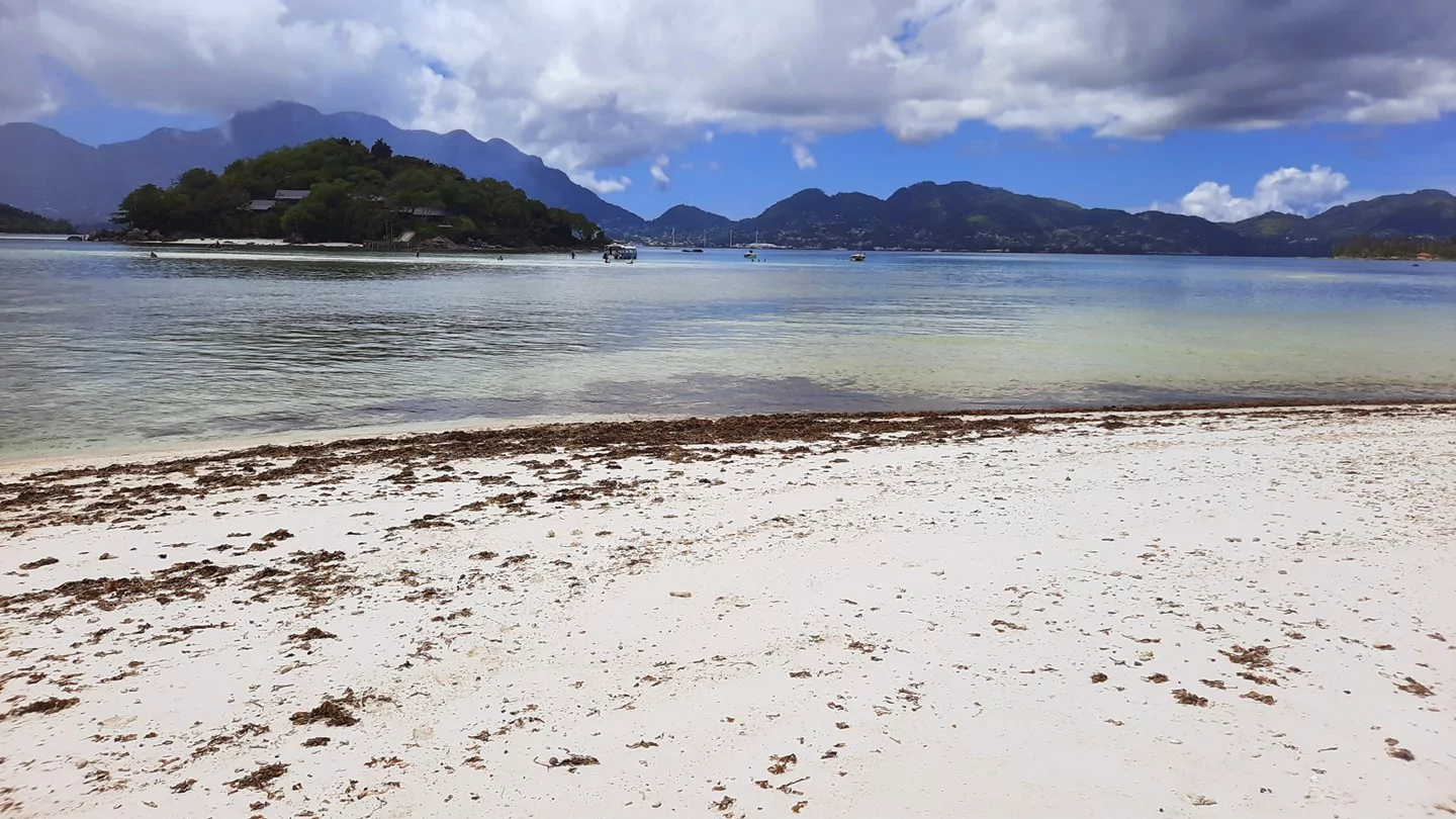 moyenne island seychelles main beach