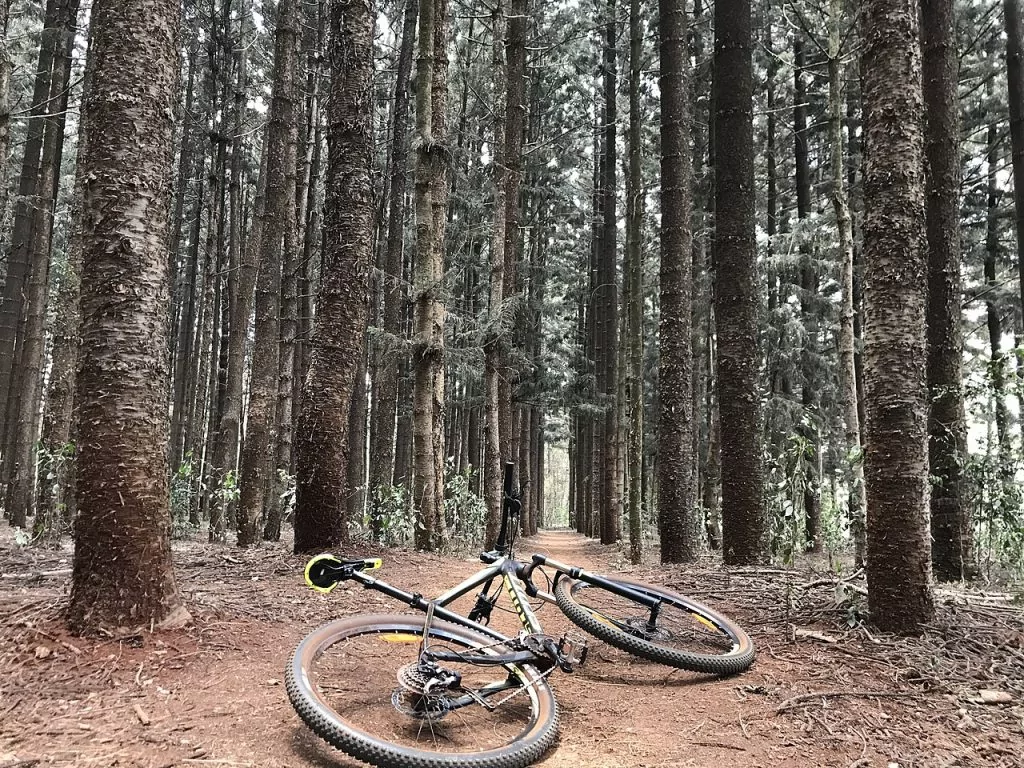 nairobi kenya karura forest bicycle