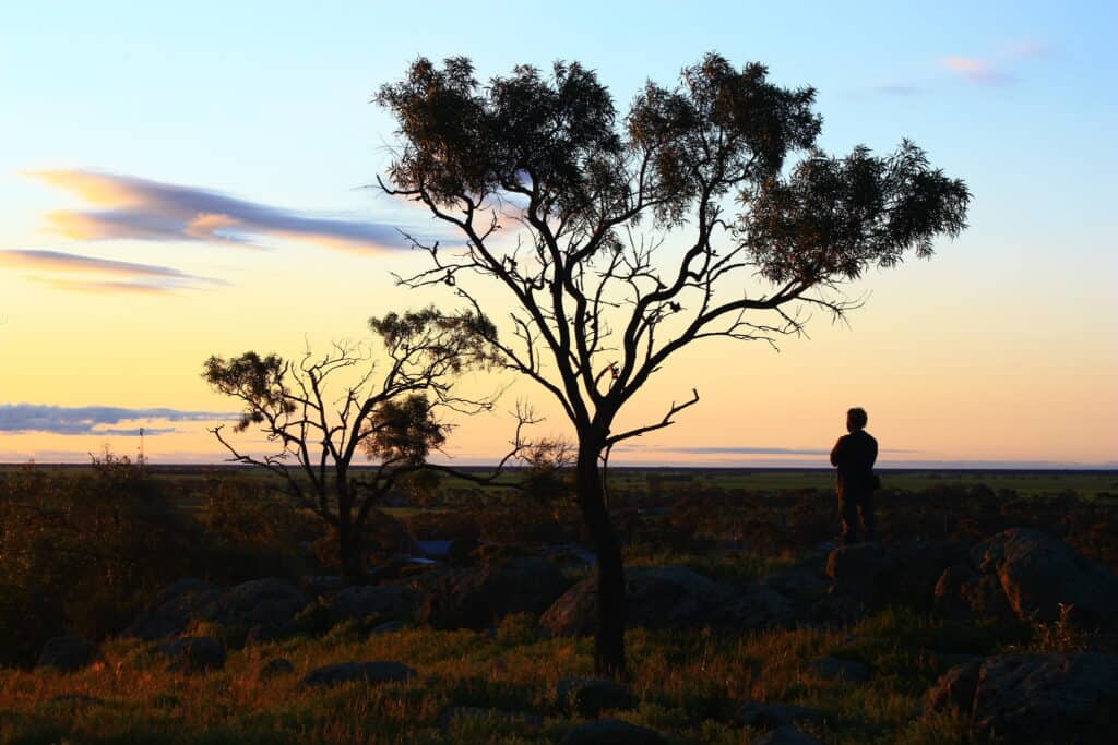 mount wycheproof australia