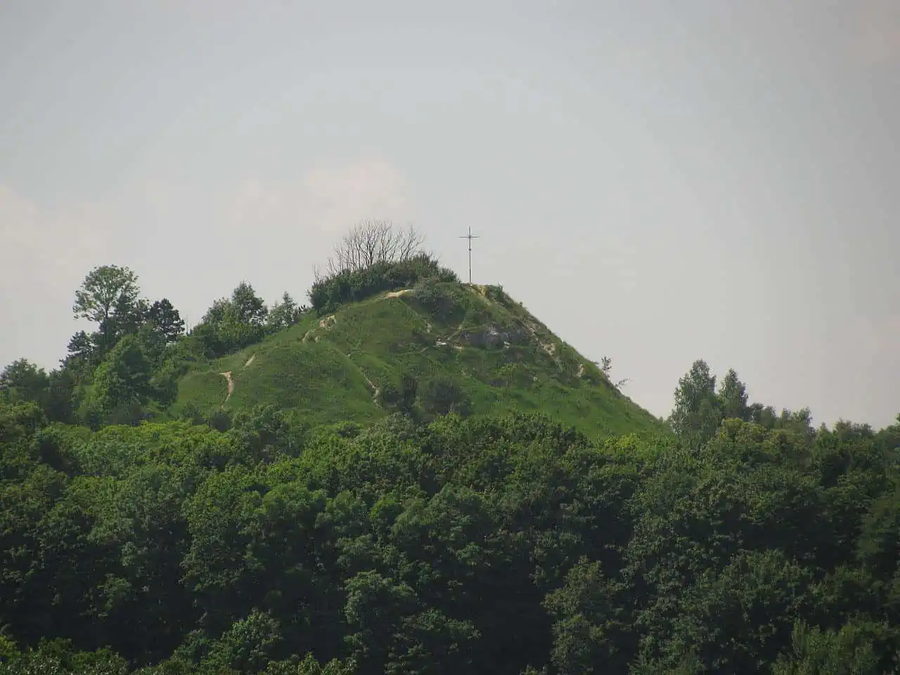 lion hill lviv ukraine forest