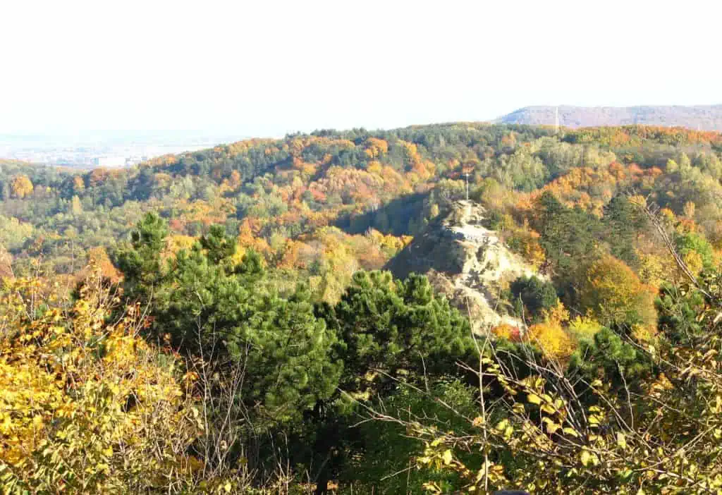 lion hill lviv ukraine woodland