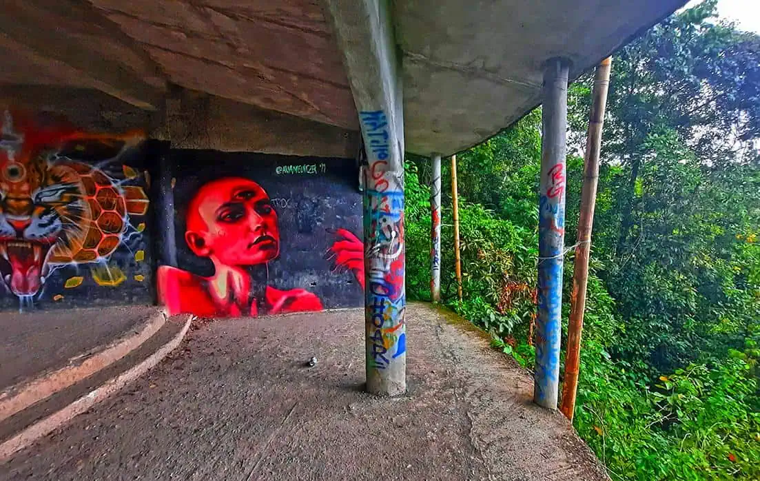 el miro jaco costa rica mural rainforest