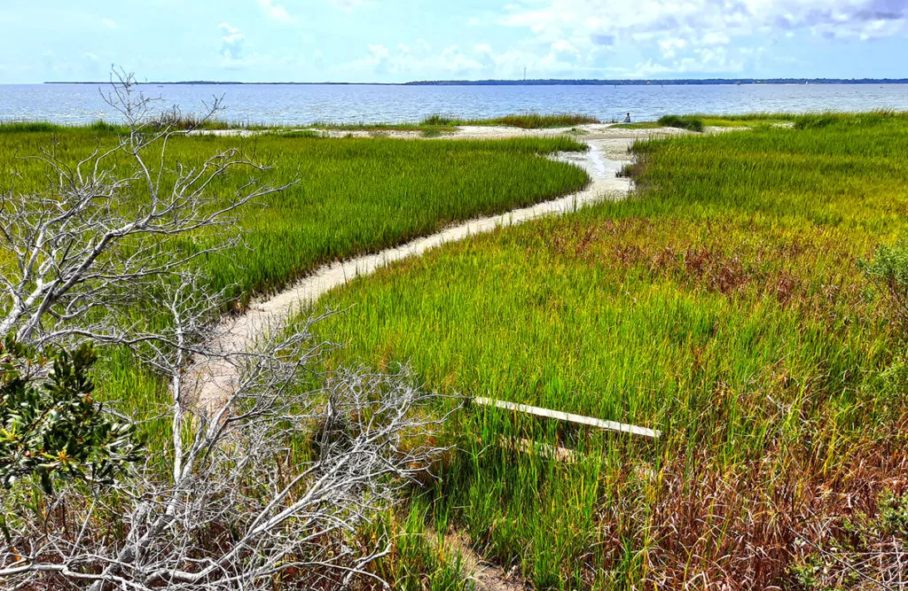 hog island charleston south carolina us view