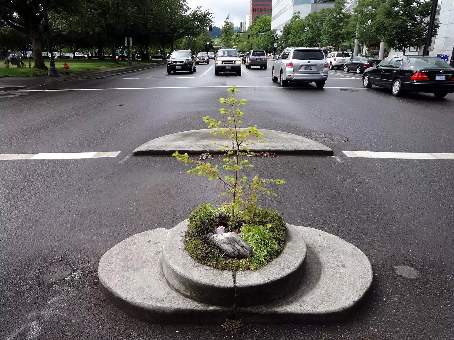 Mill Ends Park Portland Oregon smallest park in the world 4