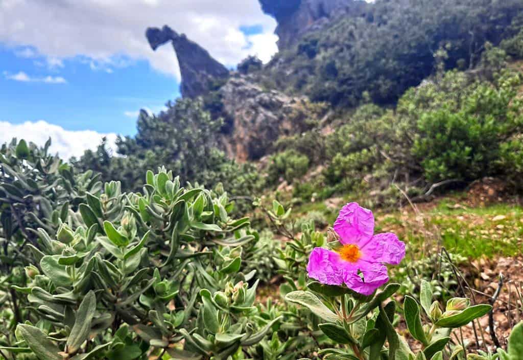 Morocco Chefchaouen Hanging Rock rock formation 6