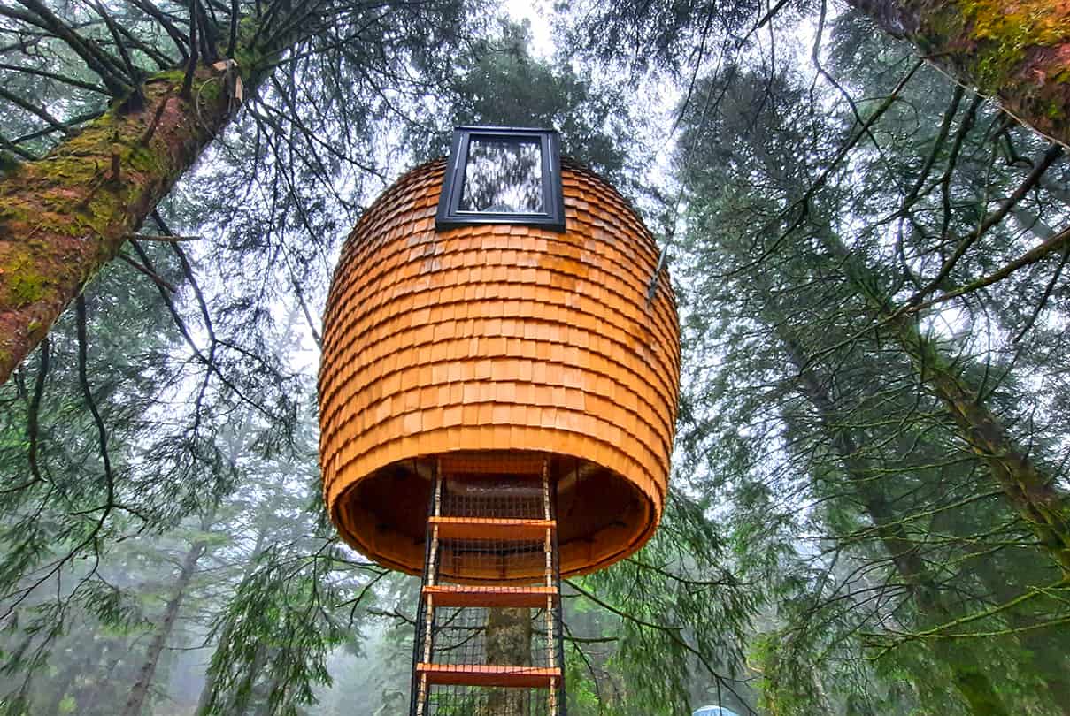 The Cone Bergen Norway tree house 5