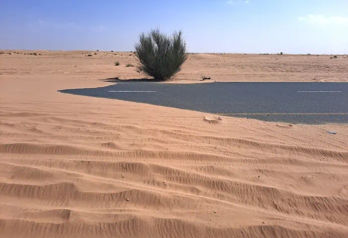 Half Desert Dubai United Arab Emirates 11