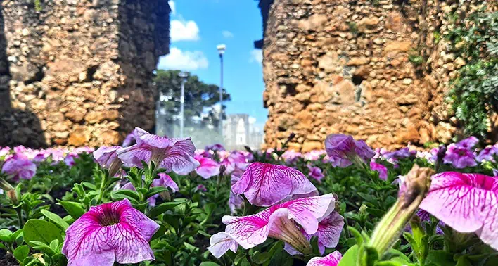 Ruinas de Sao Francisco The Ruins of San Francisco Curitiba Brazil 3