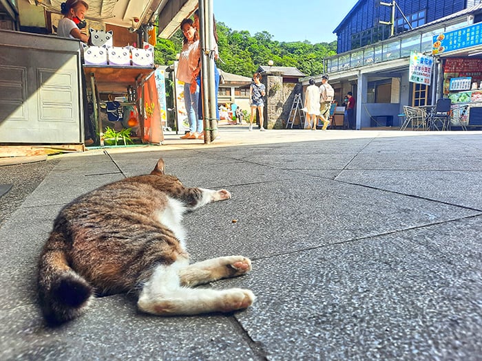 Houtong Cat Village Taiwan 22