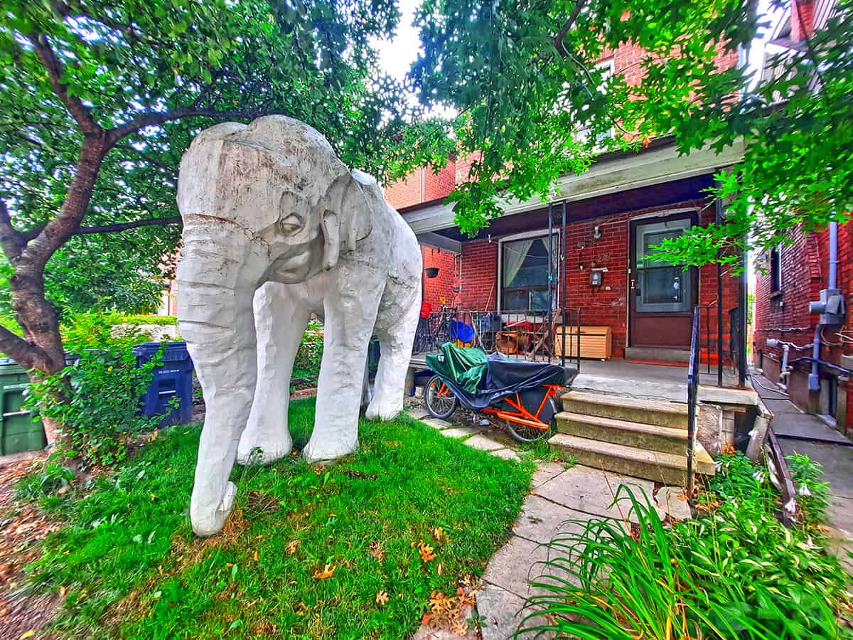 Elephant House Toronto Ontario Canada 6