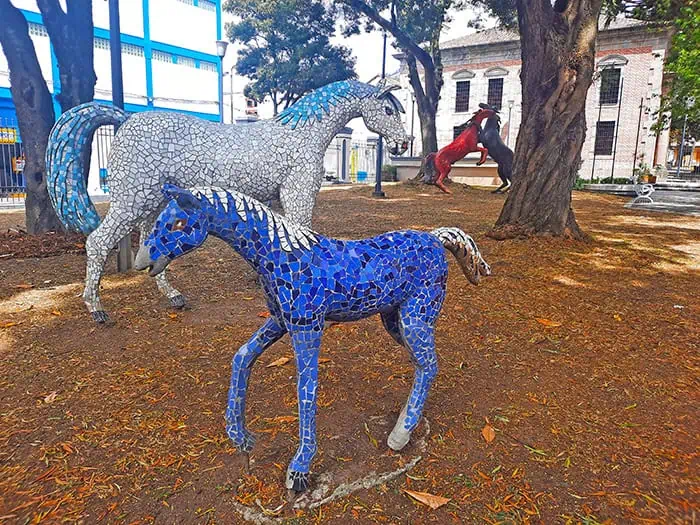 Parque Del Milo Quito Ecuador 5