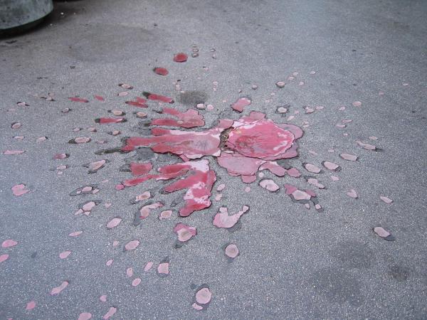 Roses of Sarajevo Bosnia 5