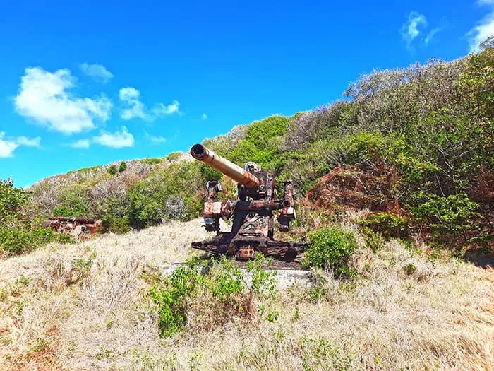 HARP Supergun Barbados 5