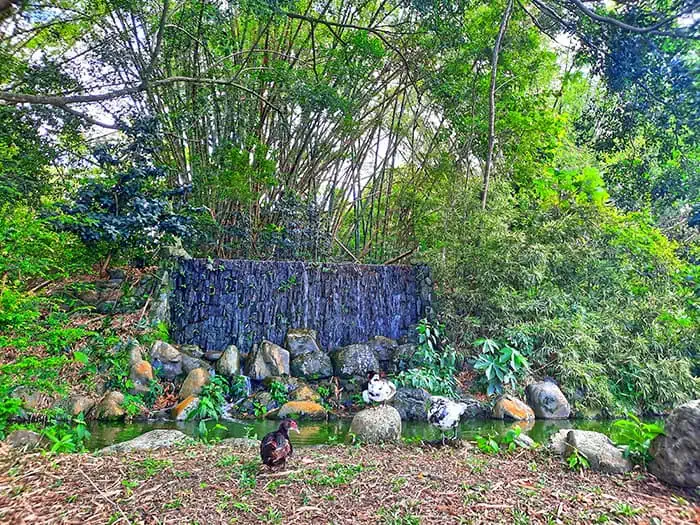 Japanese Garden Jardin Japones Santo Domingo Dominican Republic 14