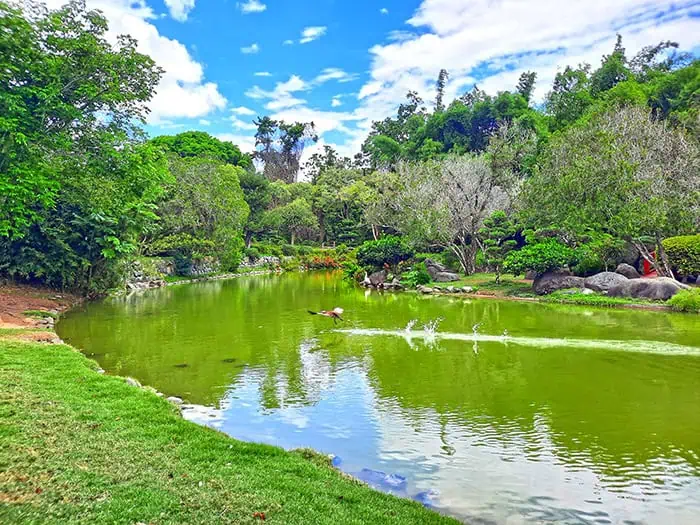 Japanese Garden Jardin Japones Santo Domingo Dominican Republic 5