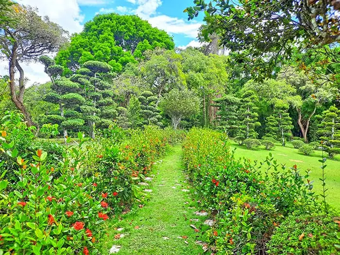 Japanese Garden Jardin Japones Santo Domingo Dominican Republic 7