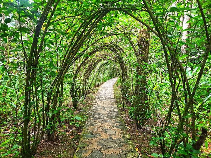 Pico Isabel de Torres Puerta Plata Dominican Republic 8