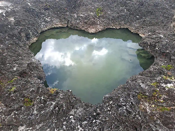 Corazon de Bayahibe Dominican Republic 6