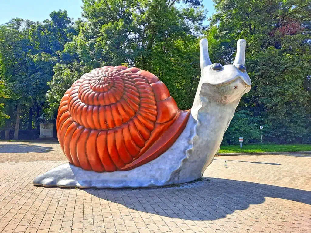 Sweet Brown Snail Munich Germany 4