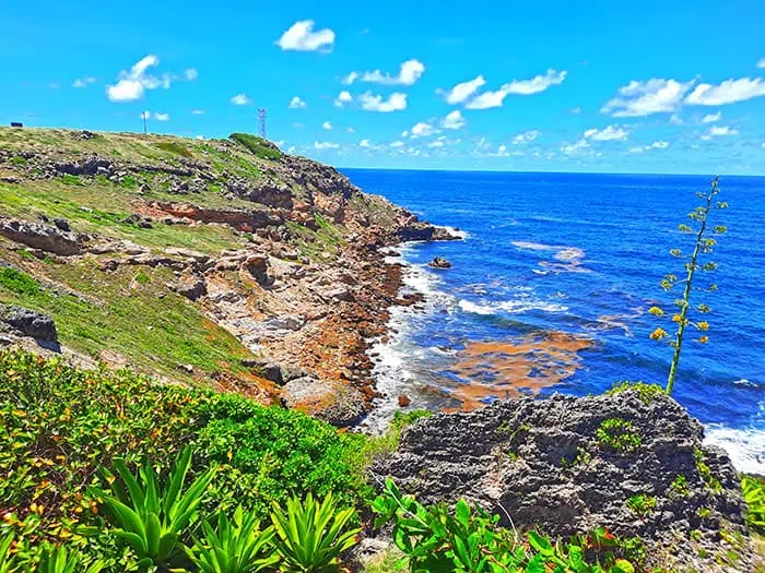 Ragged Point Barbados 7