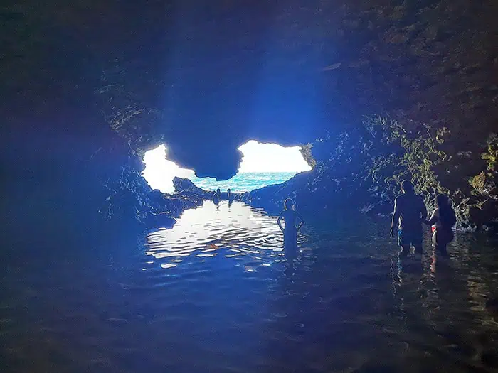 Animal Flower Cave Barbados 10