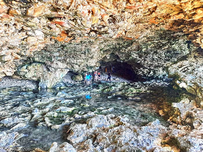 Animal Flower Cave Barbados 5