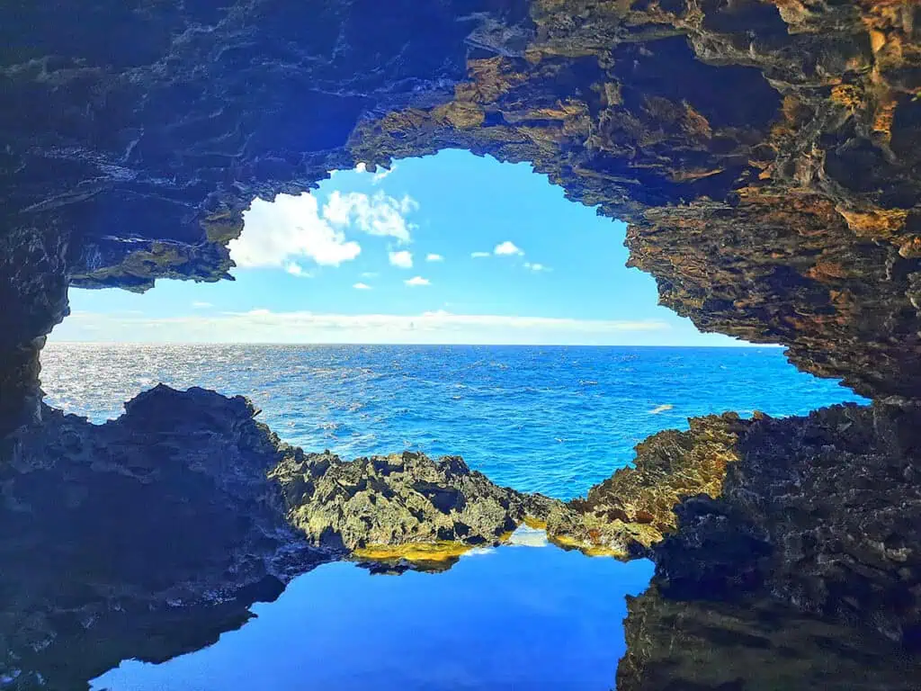 Animal Flower Cave Barbados 8