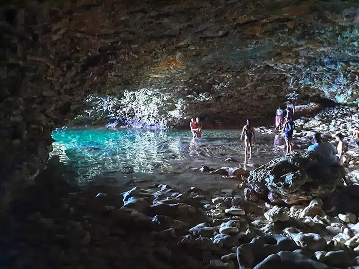 Animal Flower Cave Barbados 9