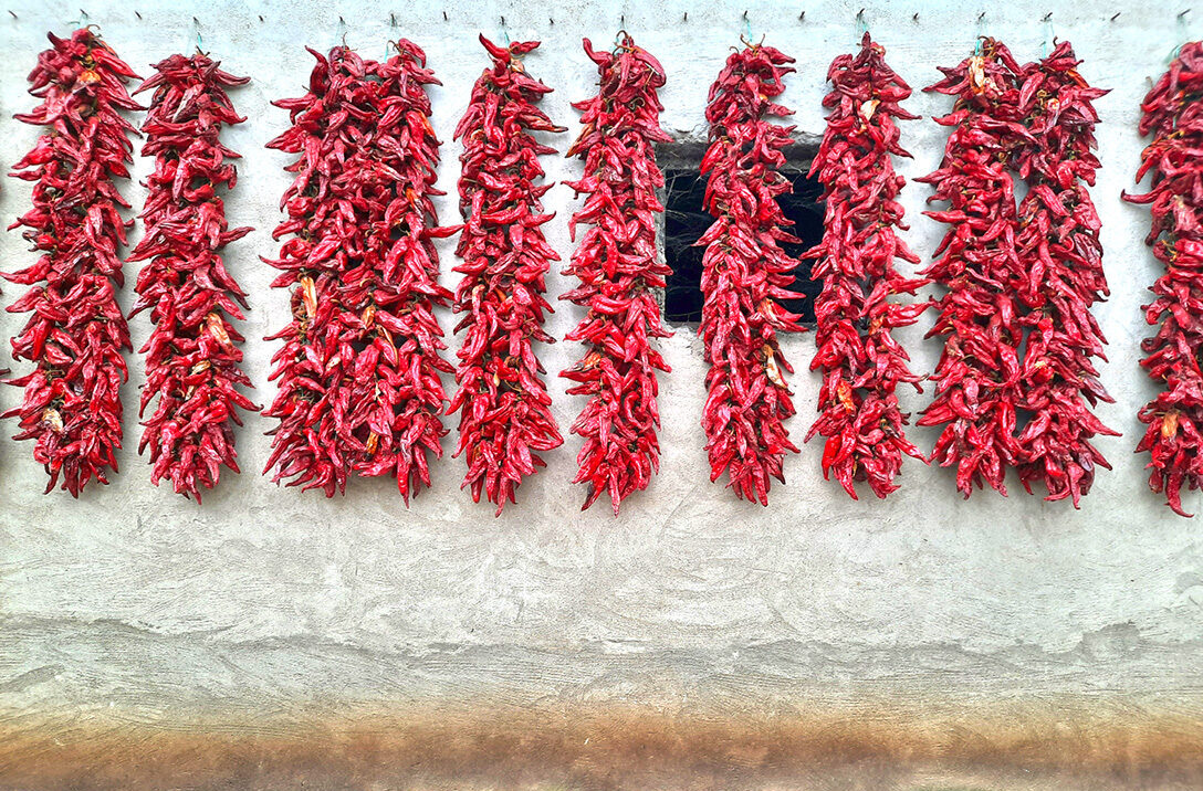 donja lokosnica serbia pepper clusters wall