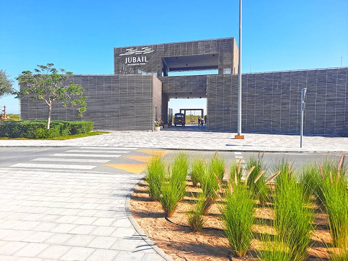Jubail Mangrove Park Abu Dhabi UAE 1