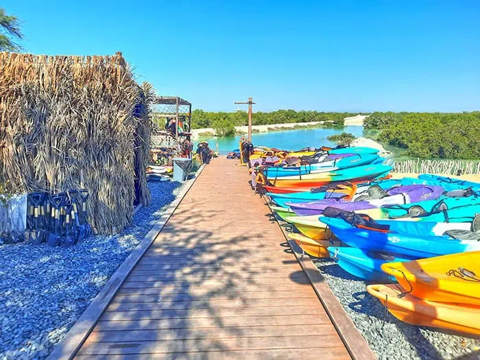Jubail Mangrove Park Abu Dhabi UAE 15