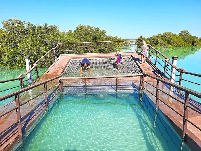 Jubail Mangrove Park Abu Dhabi UAE 6