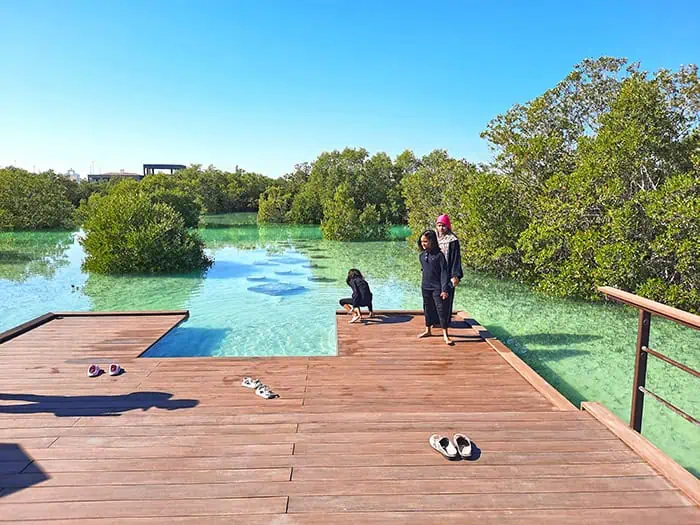 Jubail Mangrove Park Abu Dhabi UAE 9
