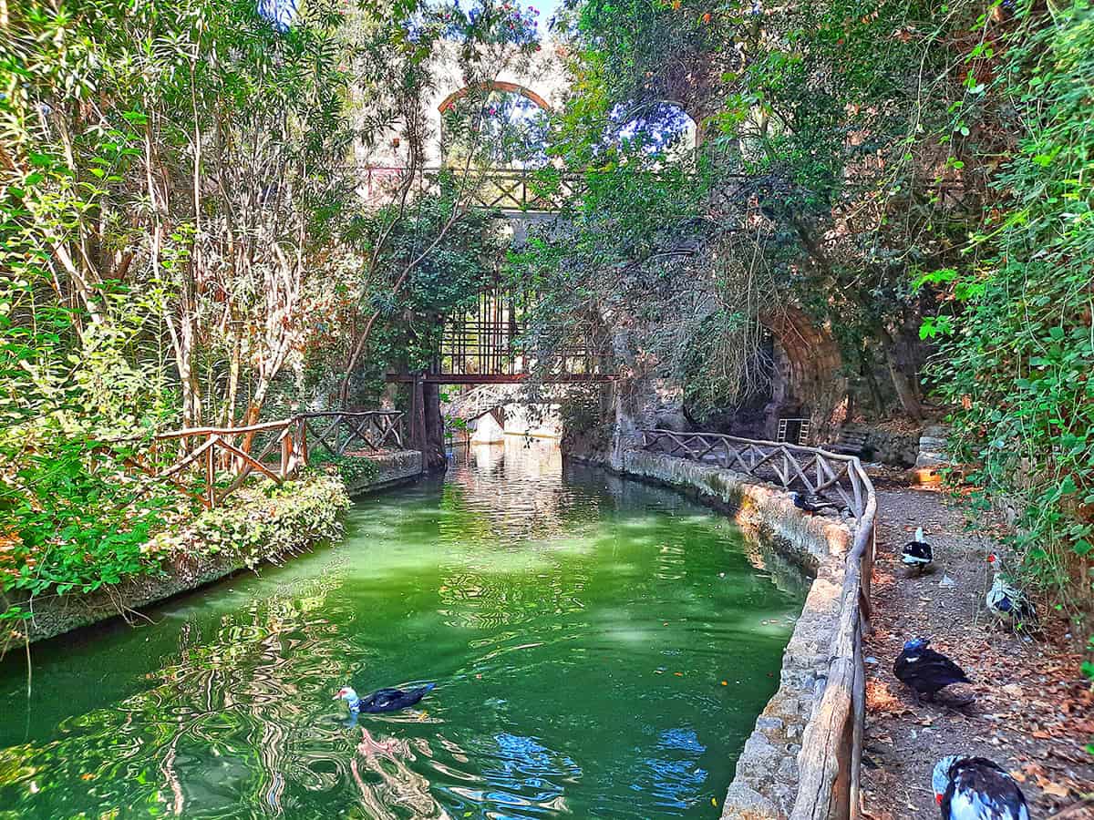 Rodini Park Rhodes Greece 6